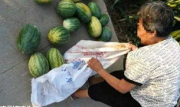 砀山最新吃瓜爆料事件,揭秘神秘事件背后的真相